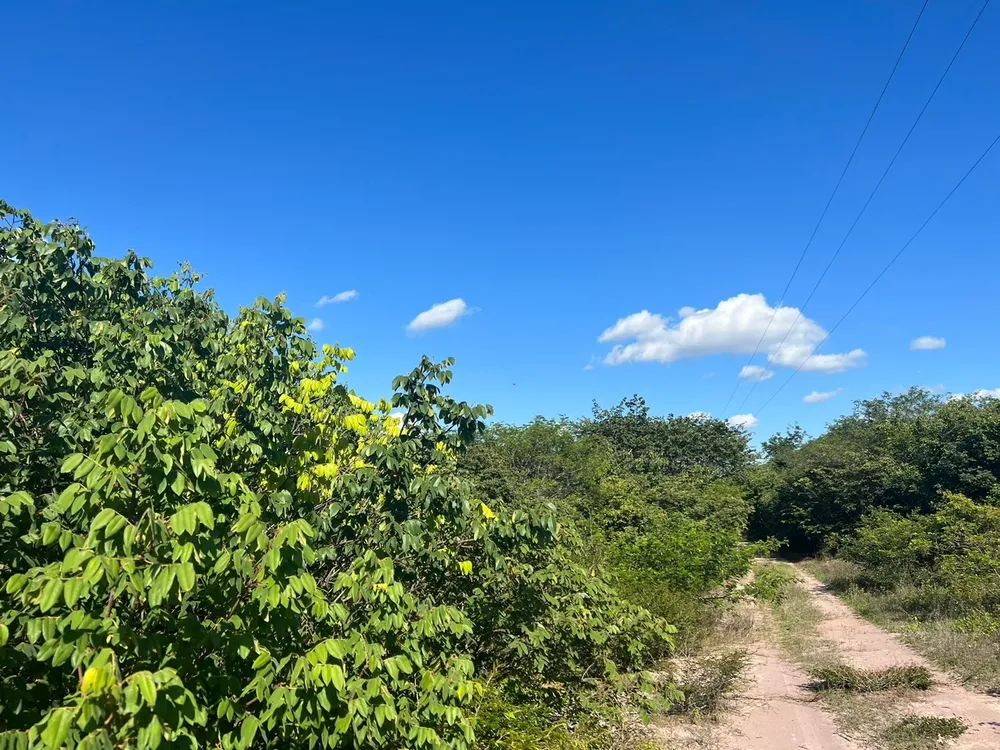 Fazenda, 3677 m² - Foto 4
