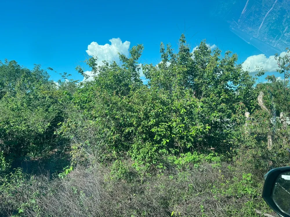 Fazenda, 3677 m² - Foto 13