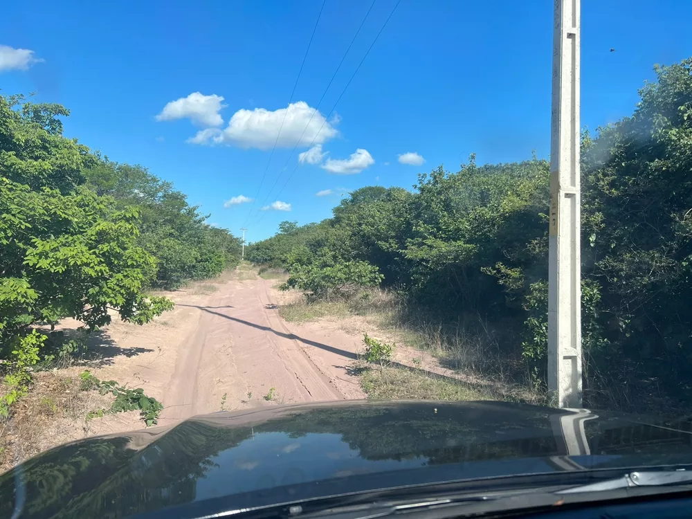 Fazenda, 3677 m² - Foto 6