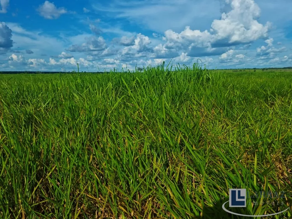 Fazenda, 553 m² - Foto 6