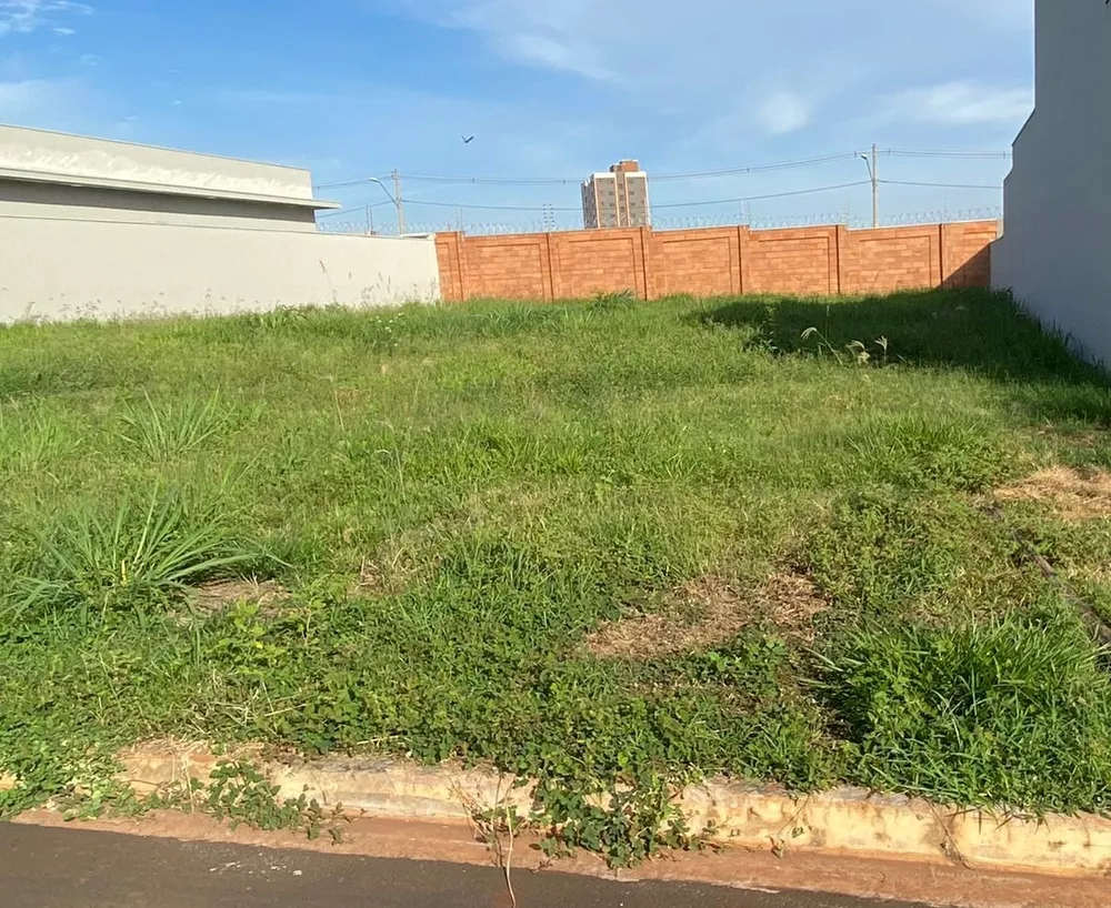 Terreno, 250 m² - Foto 3