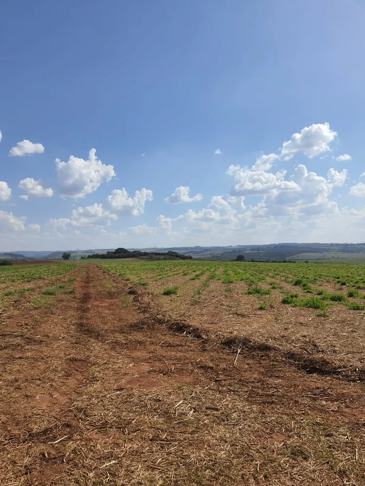 Fazenda, 90 m² - Foto 3