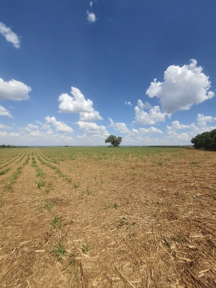 Fazenda, 90 m² - Foto 10
