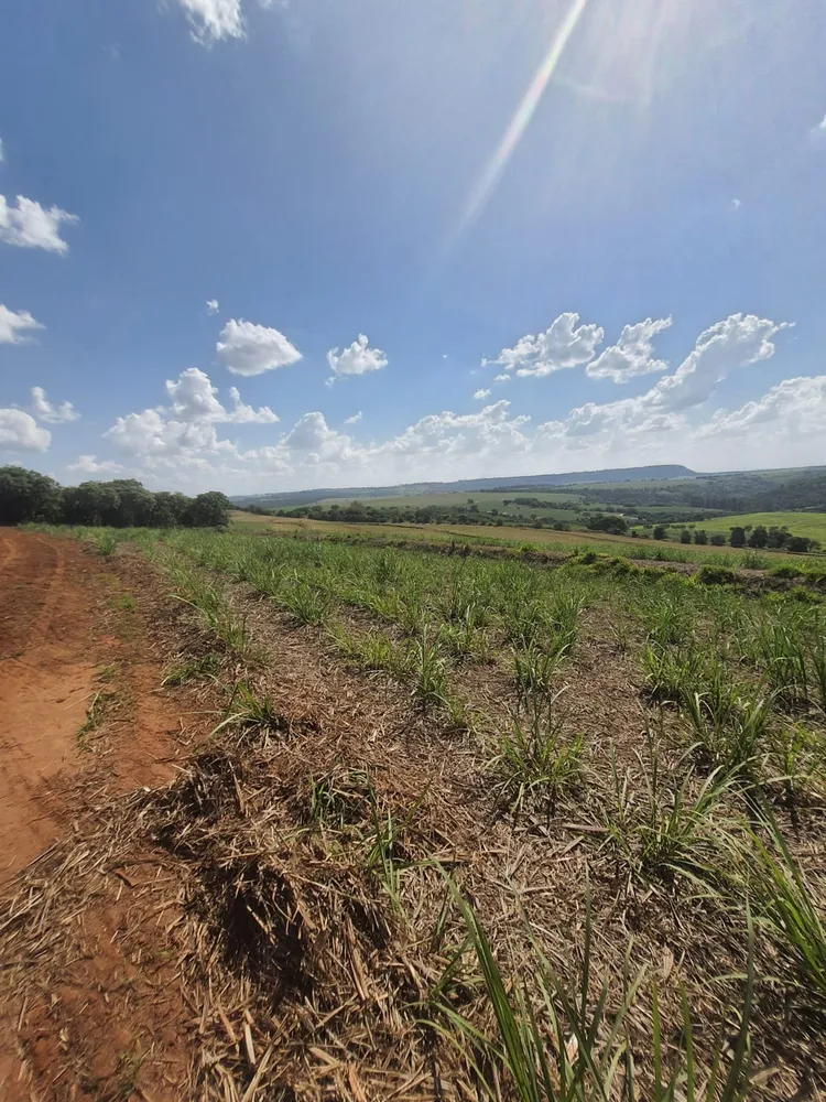 Fazenda, 90 m² - Foto 5