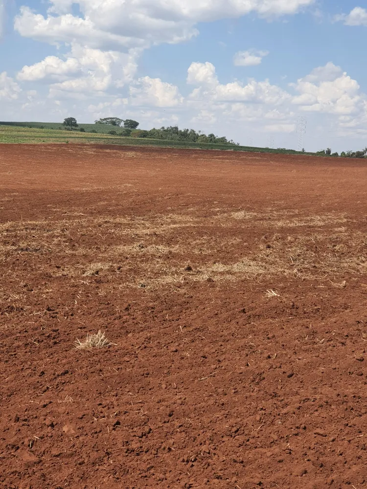 Fazenda, 90 m² - Foto 6