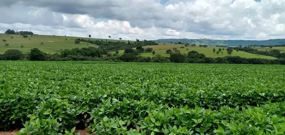 Fazenda, 120 m² - Foto 1