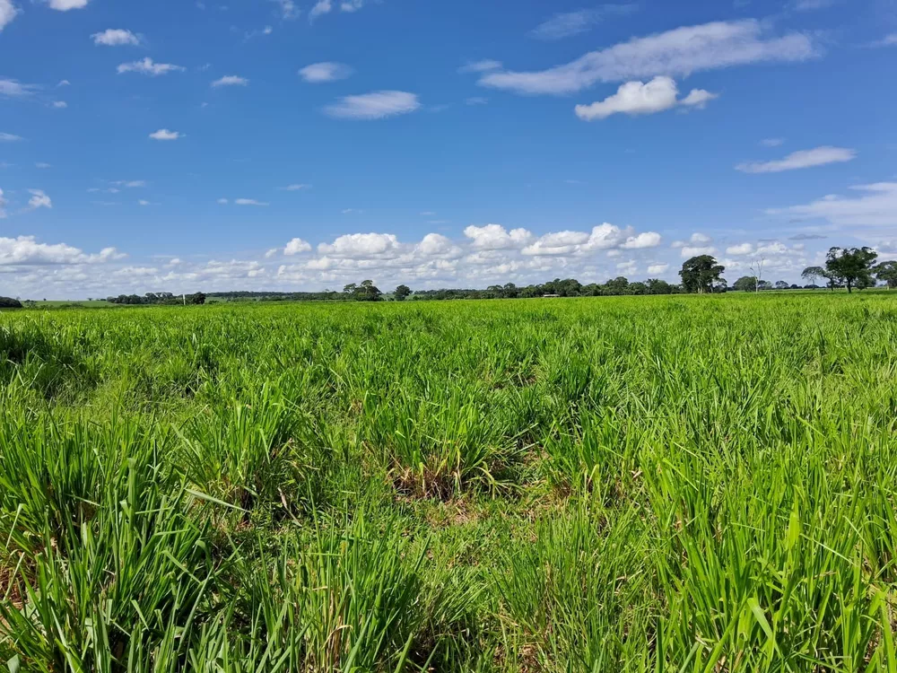 Fazenda, 42 m² - Foto 1