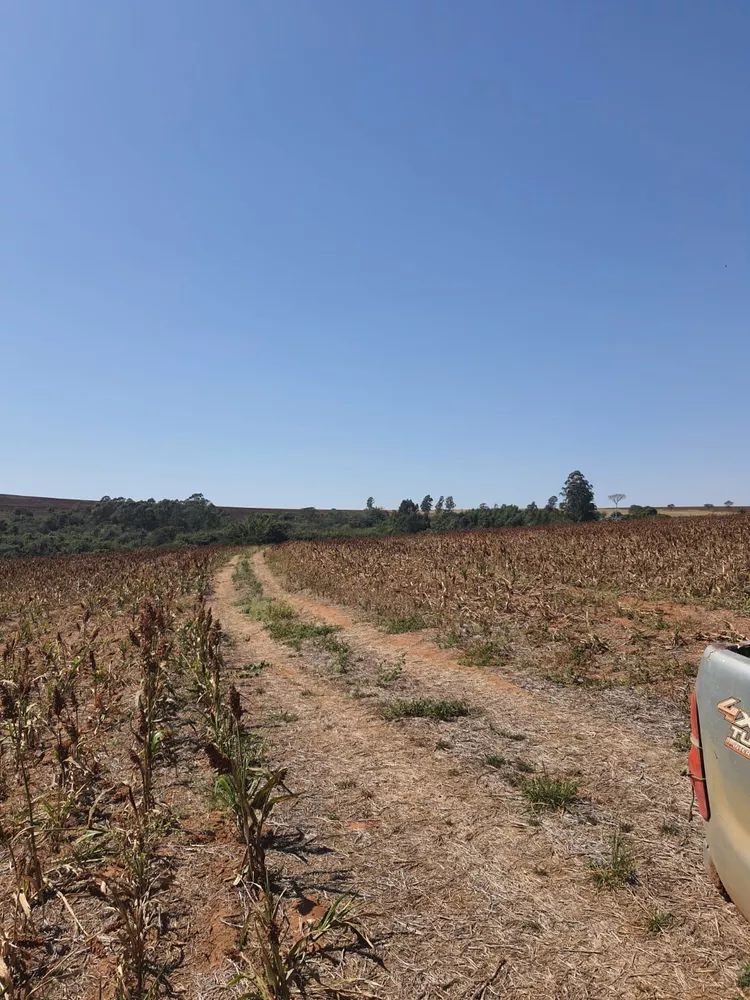 Sítio, 20 m² - Foto 4