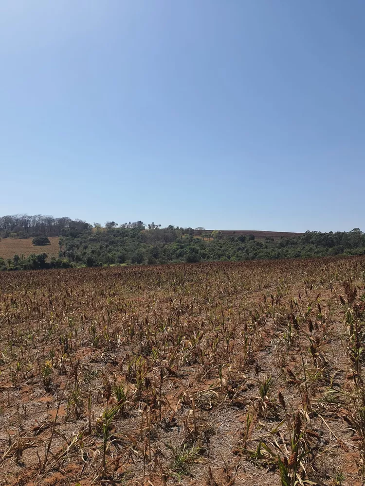 Sítio, 20 m² - Foto 3