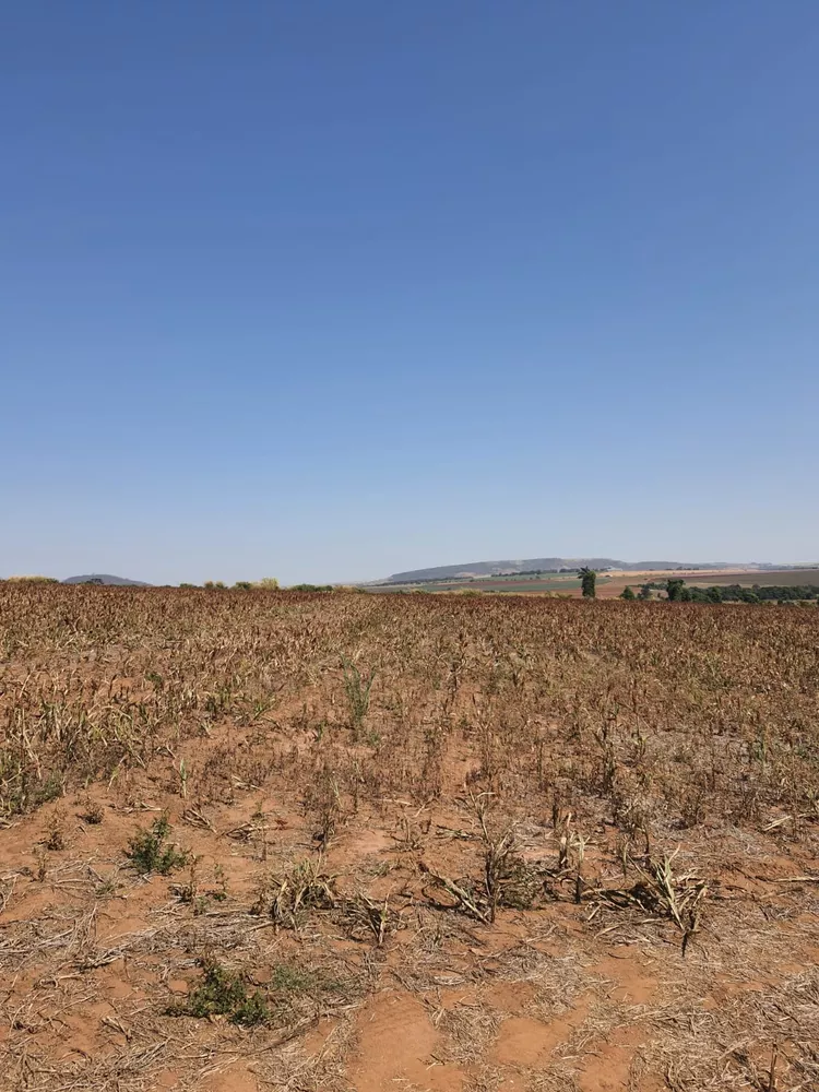 Sítio, 20 m² - Foto 1