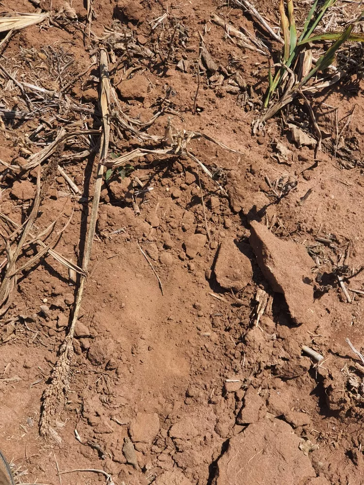 Sítio, 20 m² - Foto 2