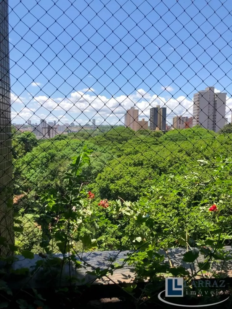 Apartamento, 4 quartos, 252 m² - Foto 10