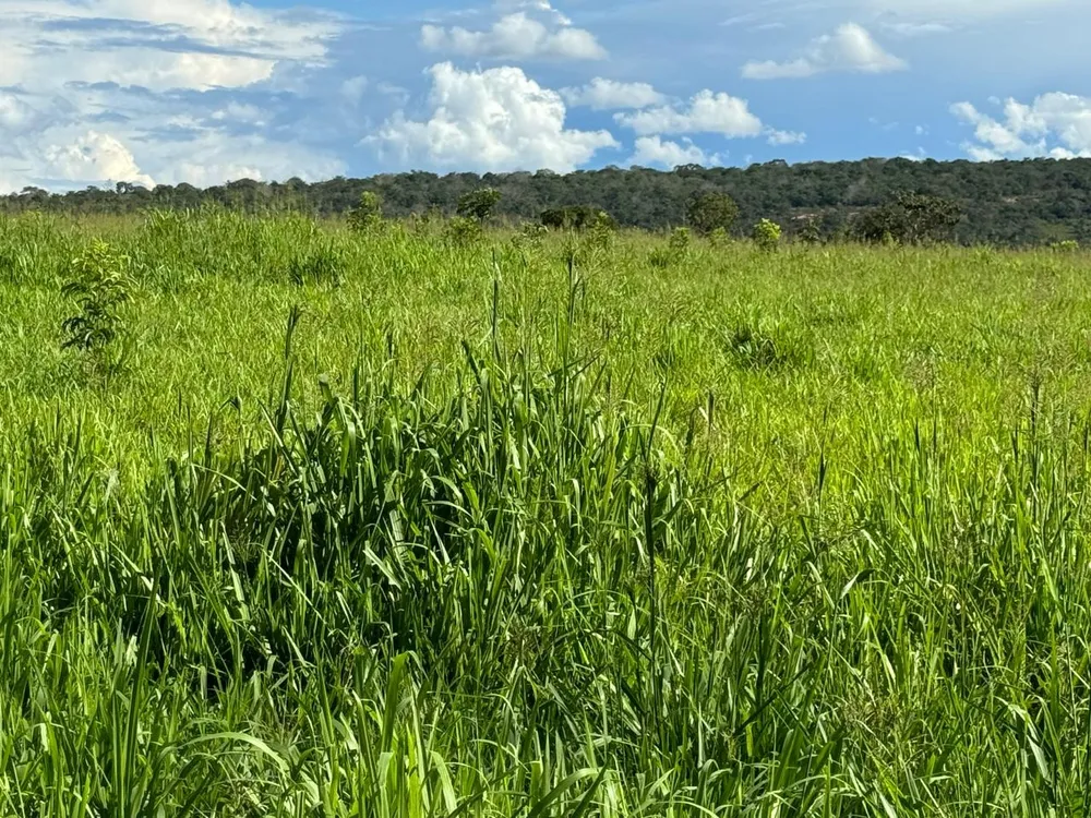 Fazenda, 764 m² - Foto 1