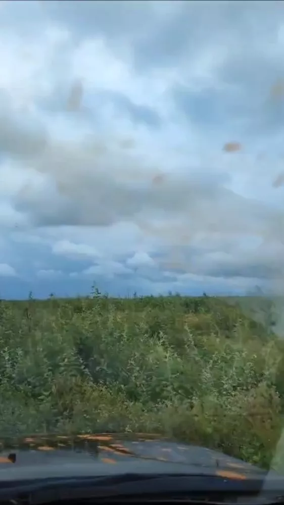 Fazenda, 336 m² - Foto 2