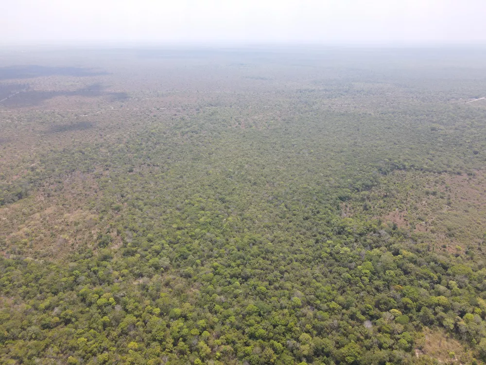 Fazenda, 836 m² - Foto 1