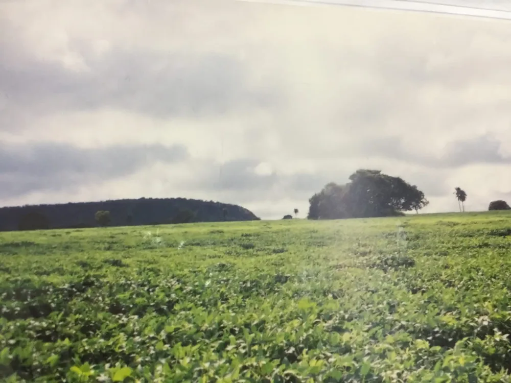 Fazenda, 82 m² - Foto 3