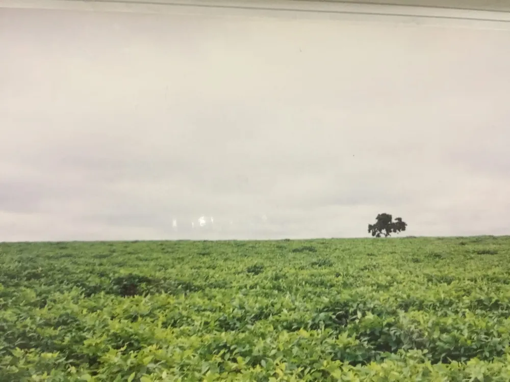 Fazenda, 82 m² - Foto 1