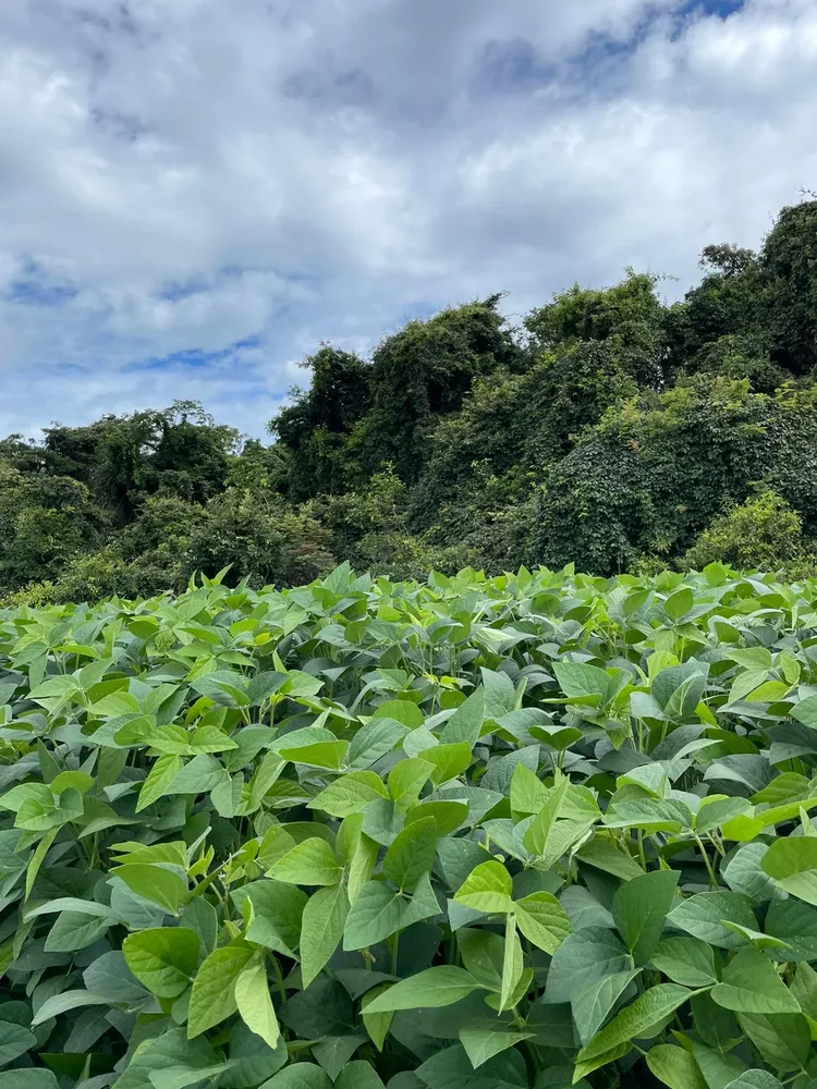 Fazenda, 570 m² - Foto 1