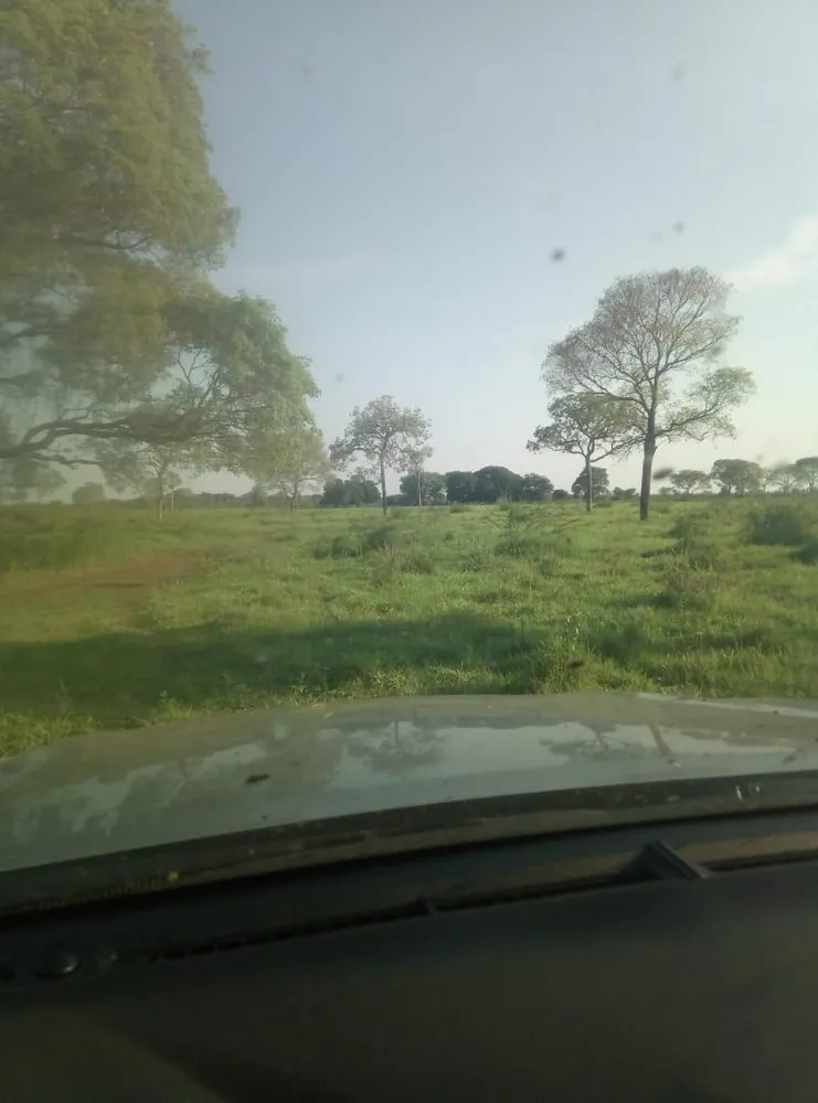 Fazenda, 822 m² - Foto 8