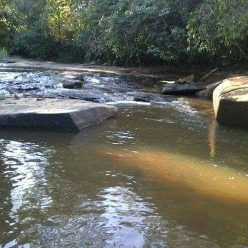 Fazenda, 173 m² - Foto 7