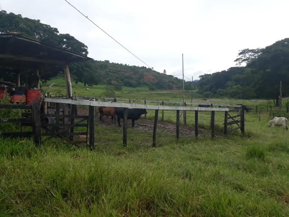 Fazenda, 173 m² - Foto 1