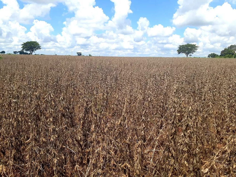 Fazenda, 85 m² - Foto 1