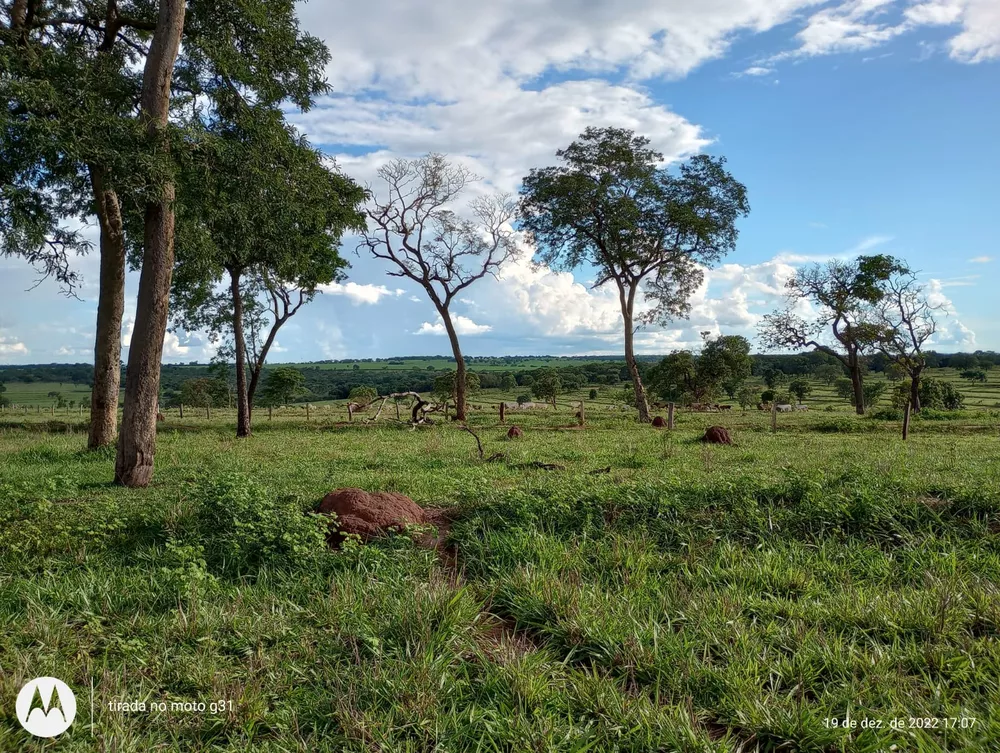 Fazenda, 60 m² - Foto 1