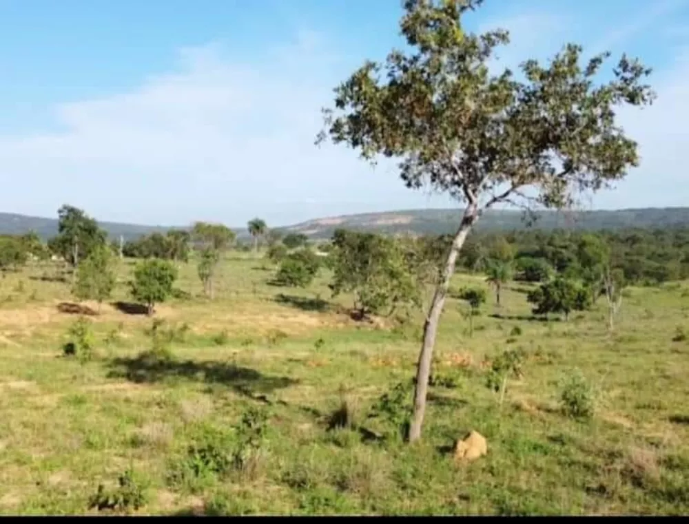 Fazenda, 173 m² - Foto 1