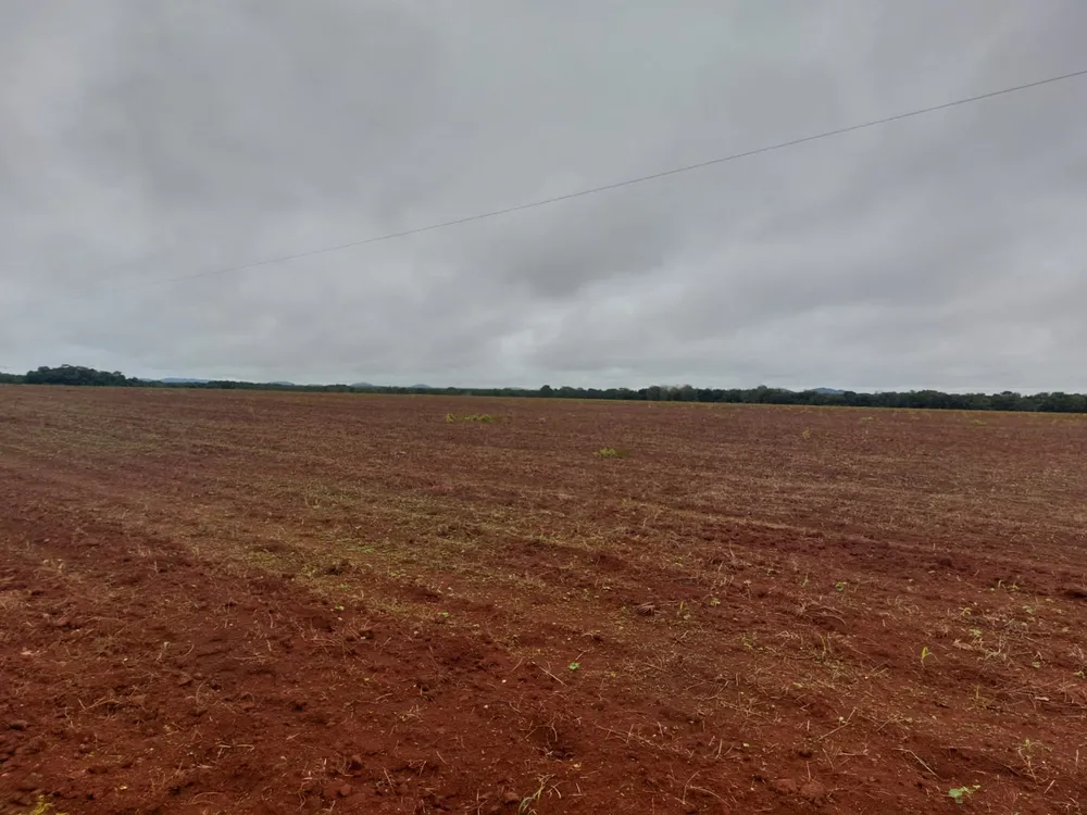 Fazenda, 1 hectares - Foto 2