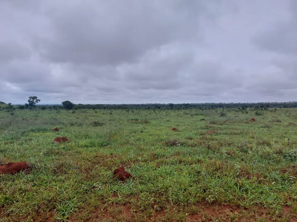 Fazenda, 1 hectares - Foto 1