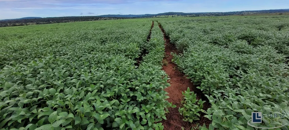 Fazenda, 103 m² - Foto 1