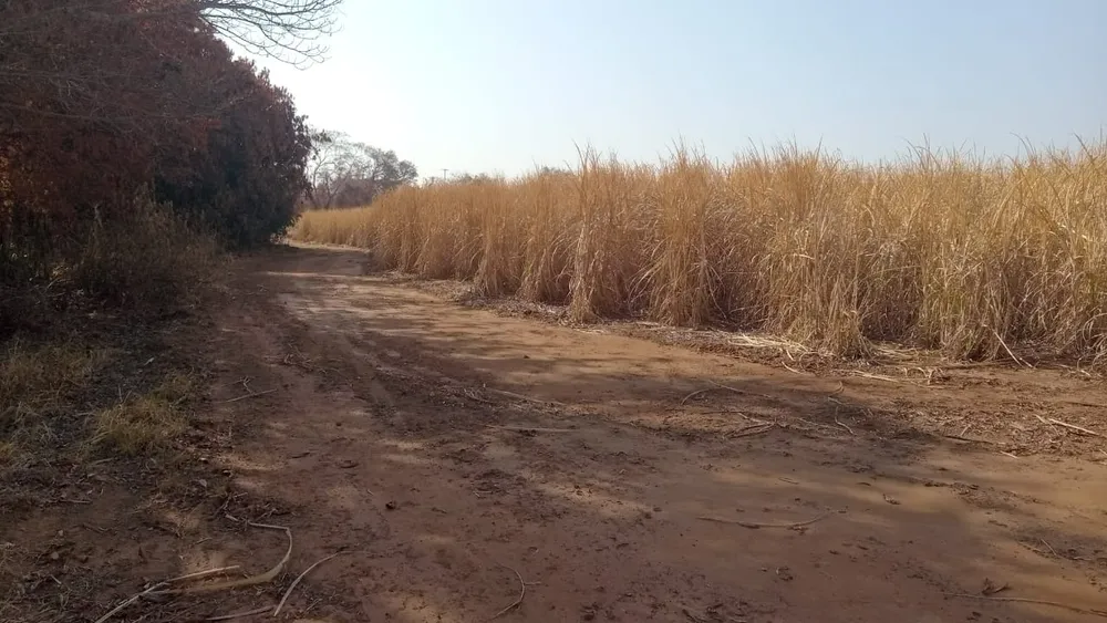 Fazenda, 131 m² - Foto 7
