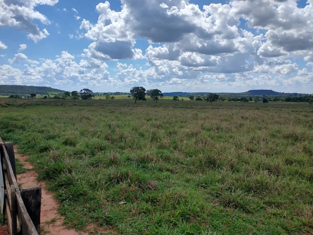 Fazenda, 115 m² - Foto 7