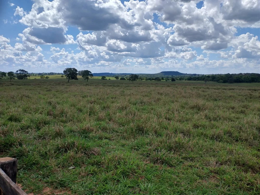 Fazenda, 115 m² - Foto 4