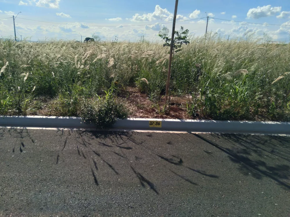 Terreno, 200 m² - Foto 1