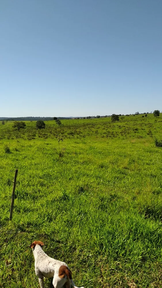 Fazenda, 388 m² - Foto 1