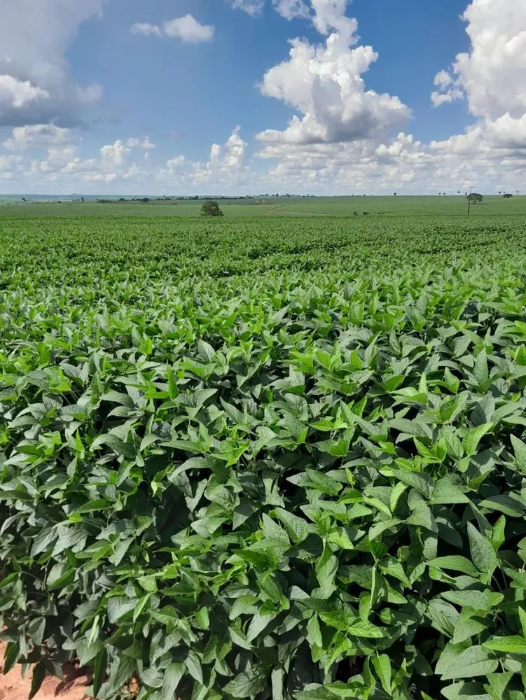 Fazenda, 138 m² - Foto 4