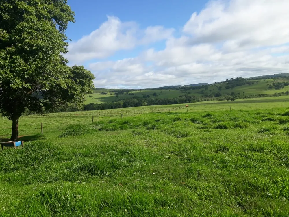 Fazenda, 560 m² - Foto 1