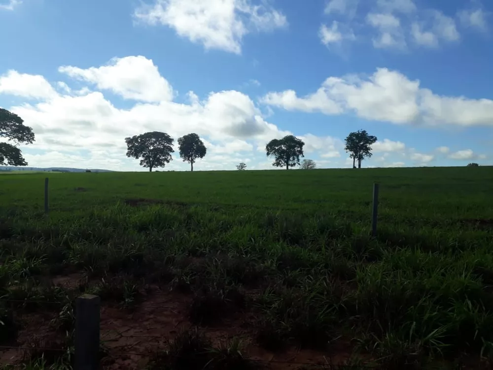 Fazenda, 560 m² - Foto 4
