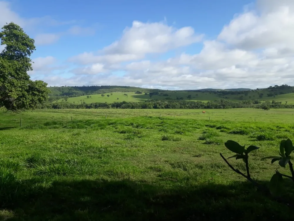 Fazenda, 560 m² - Foto 3