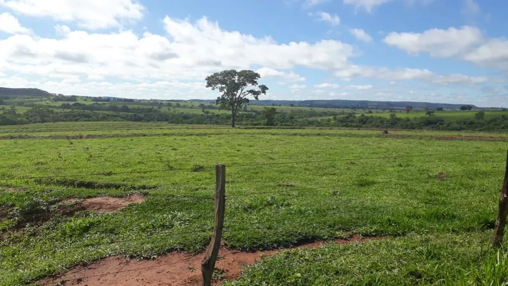 Fazenda, 560 m² - Foto 3
