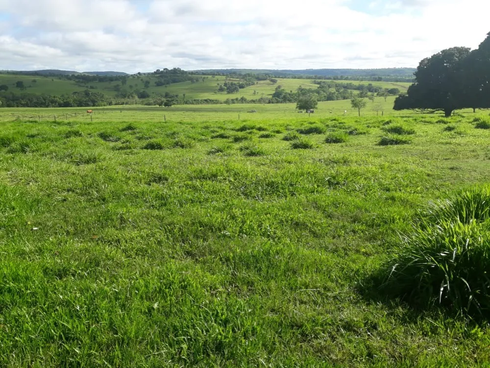 Fazenda, 560 m² - Foto 12