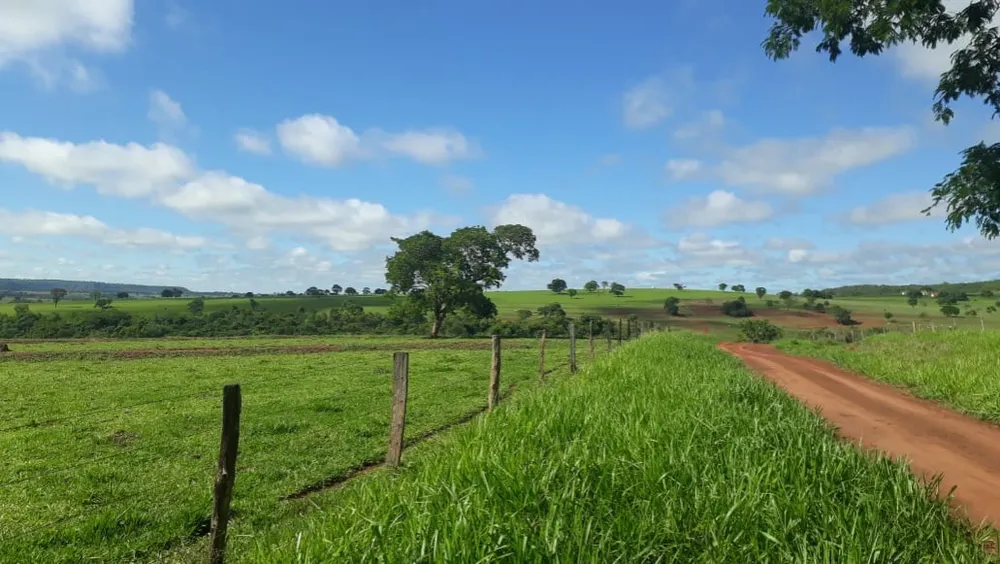 Fazenda, 560 m² - Foto 5