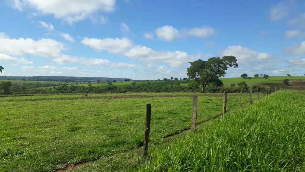 Fazenda, 560 m² - Foto 2