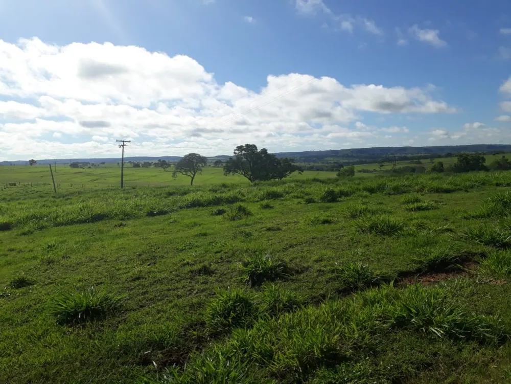 Fazenda, 560 m² - Foto 8