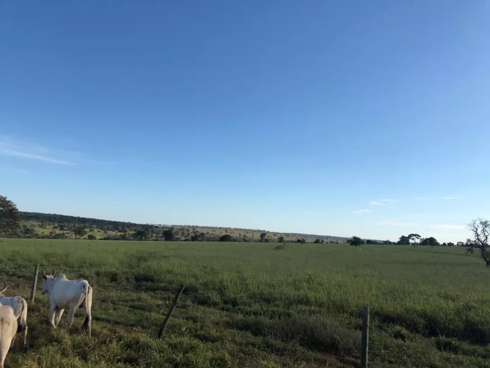 Fazenda, 150 m² - Foto 1