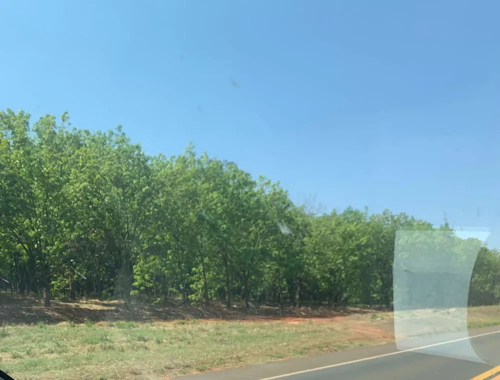 Fazenda, 82 m² - Foto 2