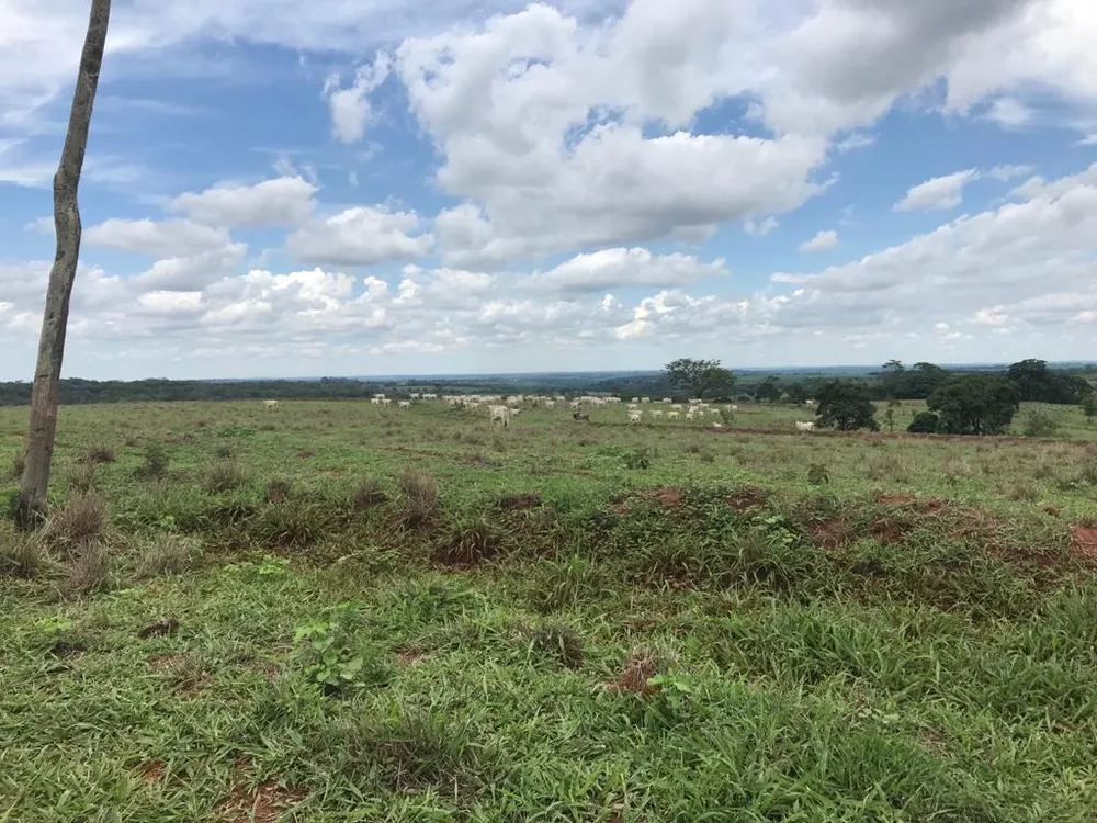 Fazenda, 81 m² - Foto 1