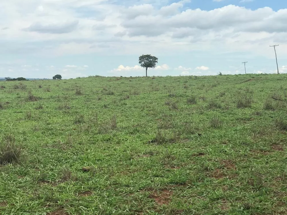 Fazenda, 81 m² - Foto 3