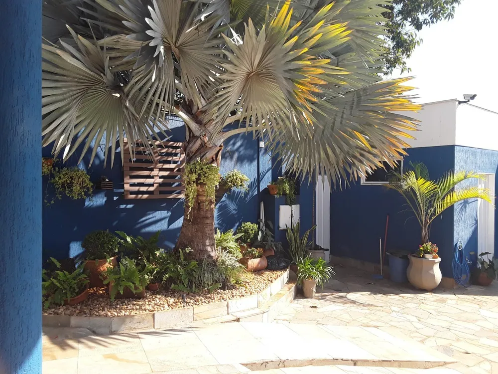 Casa, 4 quartos, 840 m² - Foto 4